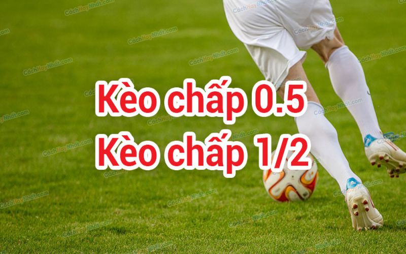 Kèo 0 0.5: Bí quyết và Chiến lược chiến thắng